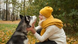 TRAINING SIBERIAN HUSKIES