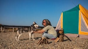 Are Huskies Good Camping Dogs